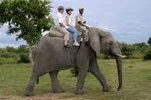 Elephant Back Safaris Kwa Madwala Game Reserve